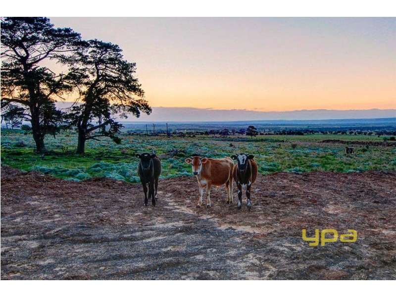 179-193 Faulkners Road, Mount Cottrell VIC 3024