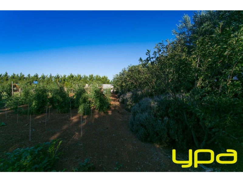 17 Connemarra Circuit, Melton VIC 3337