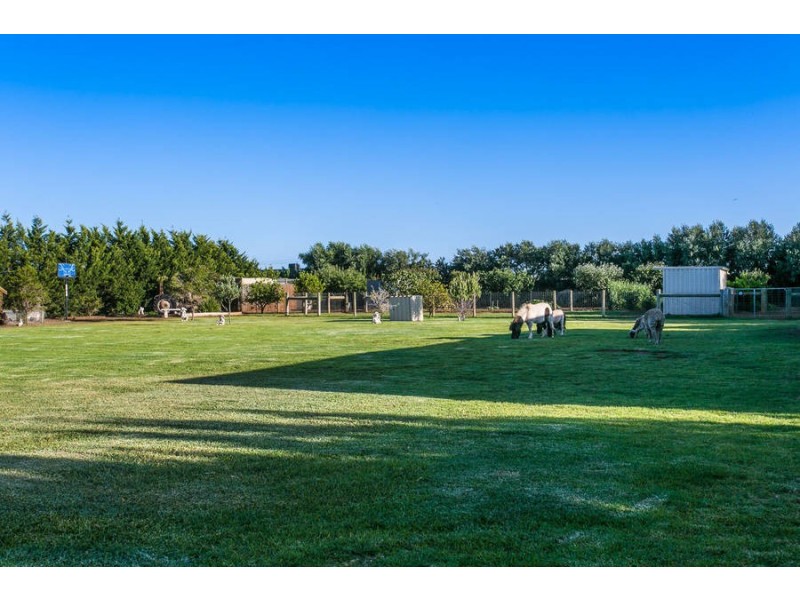 17 Connemarra Circuit, Melton VIC 3337