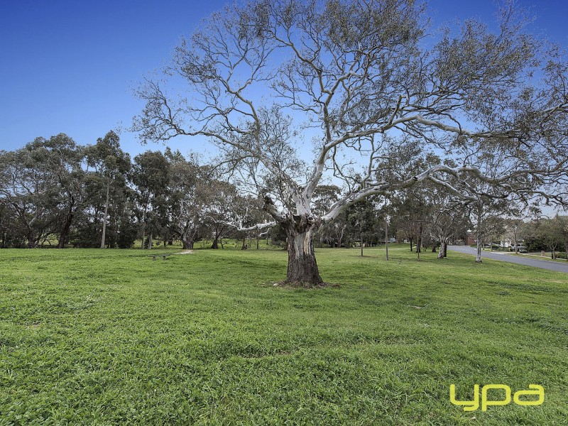 11 Darlingsford Boulevard, Melton VIC 3337