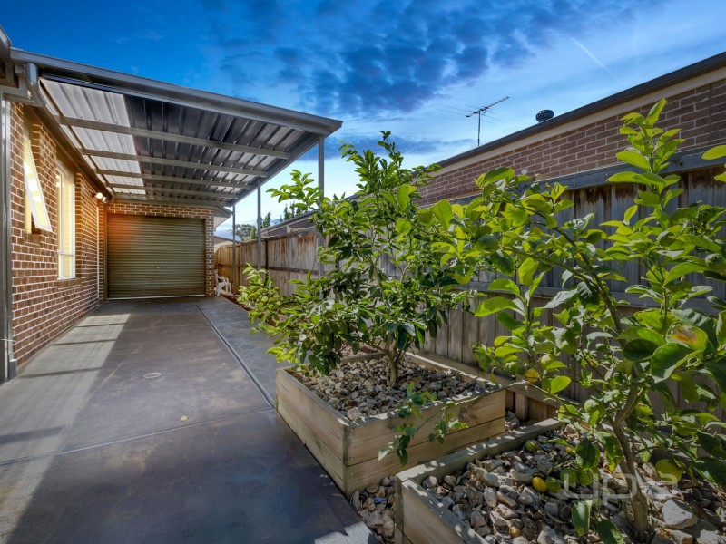 19 Desert Gum Way, Brookfield VIC 3338