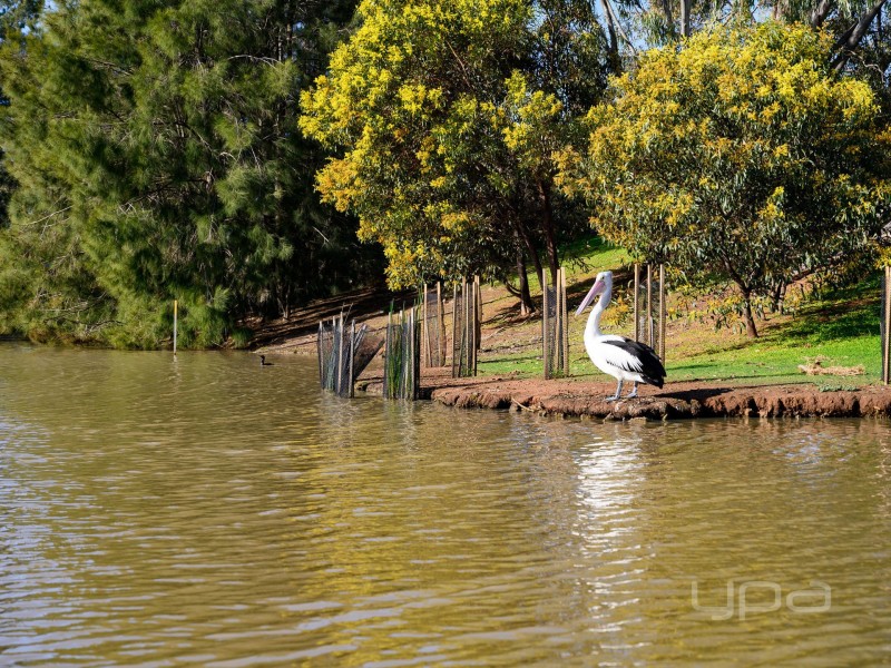 11 Lakeview Terrace, Melton West VIC 3337