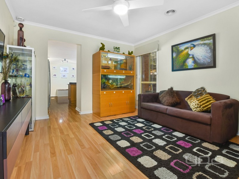 6 Viviannes Way, Melton VIC 3337