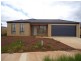 24 Equine Circuit, Melton South VIC 3338