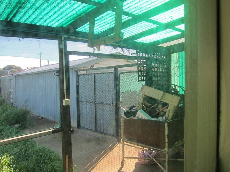 3 Curlew Close, Melton VIC 3337