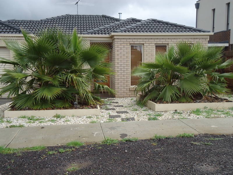 7  Petrea Place, Melton West VIC 3337