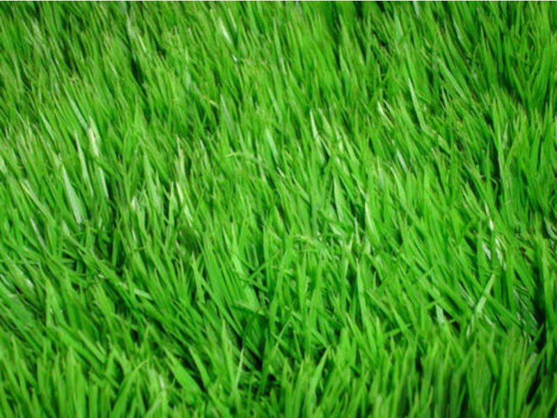 30 Stillwell Crescent, Roxburgh Park VIC 3064