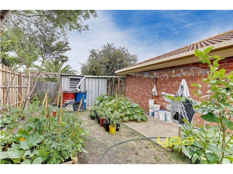 1/24 Amarina Close, Meadow Heights VIC 3048