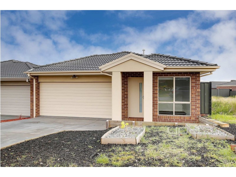19 Braveheart Road, Craigieburn VIC 3064