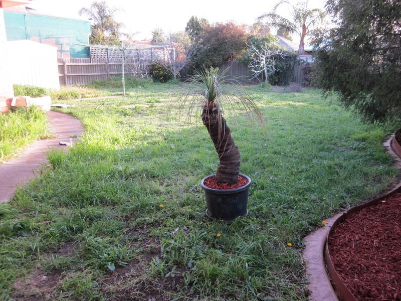 16 Harvey Court, Roxburgh Park VIC 3064