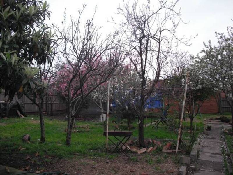 69 Cuthbert Street, Broadmeadows VIC 3047