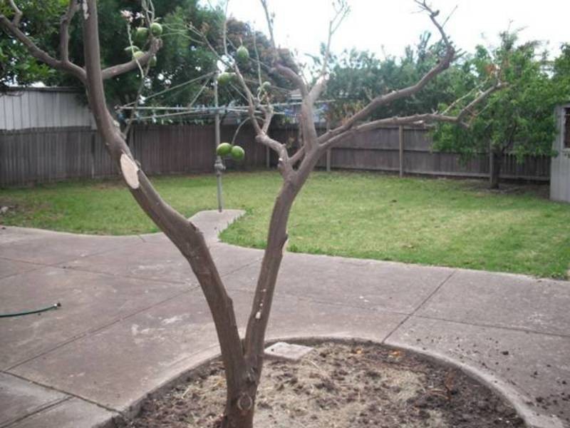 4 Kalimna Crescent, Coolaroo VIC 3048