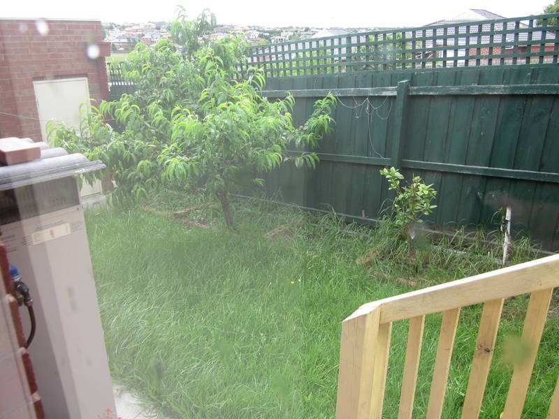 2/31 Rokewood Crescent, Meadow Heights VIC 3048