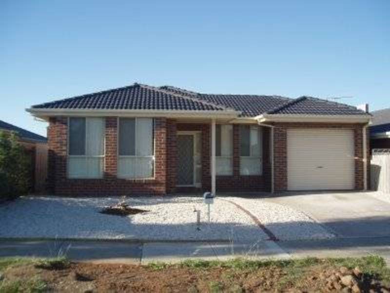 19 Limpopa Square, Roxburgh Park VIC 3064