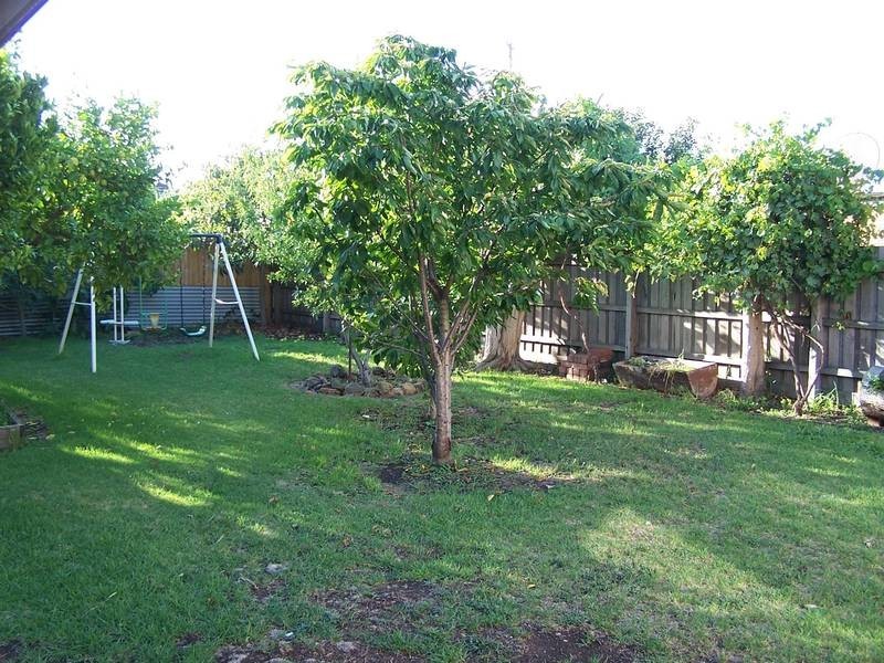 43 Valencia Street, Glenroy VIC 3046