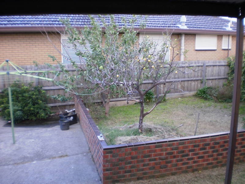 24 Regent Street, Hadfield VIC 3046