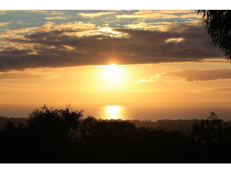 307 Waterfall Gully Road, Rosebud VIC 3939