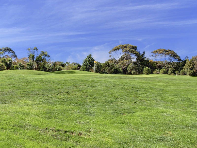 114 Palm Tree Drive, Safety Beach VIC 3936