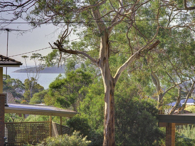 14 Burns Close, Dromana VIC 3936