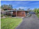 59 Highbury Road, Tootgarook VIC 3941