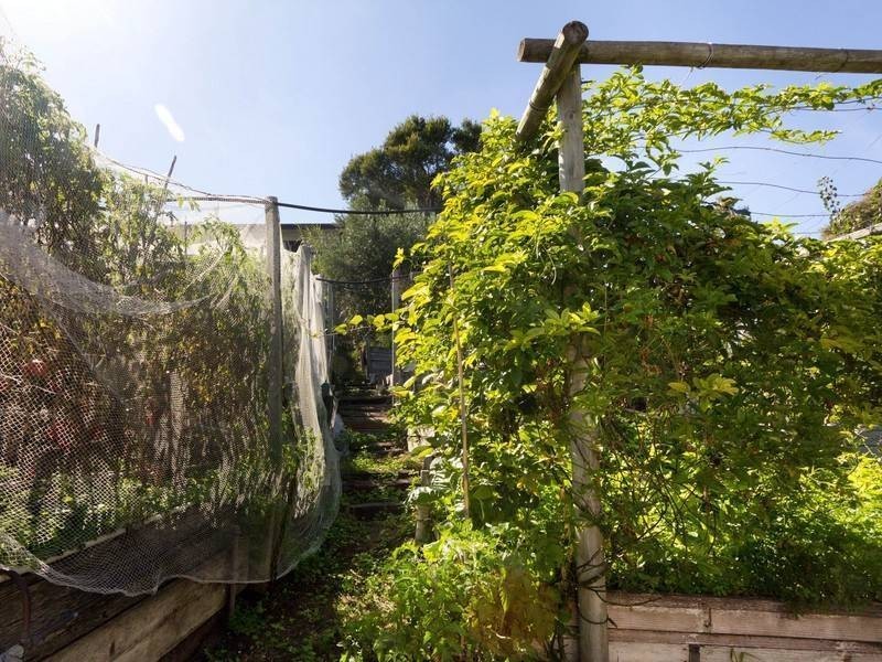 64 Beauna Vista Drive, Rye VIC 3941