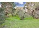 3 Dawn Street, Rye VIC 3941