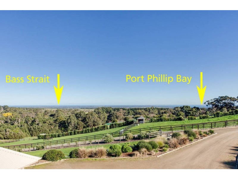 31 Browns Road, Main Ridge VIC 3928