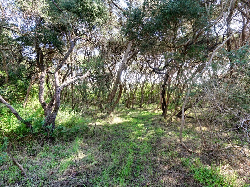 13 Hay Street, Rye VIC 3941