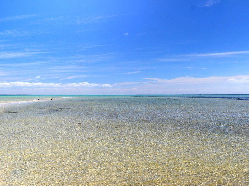 1/3 Thomas Street, Rosebud VIC 3939