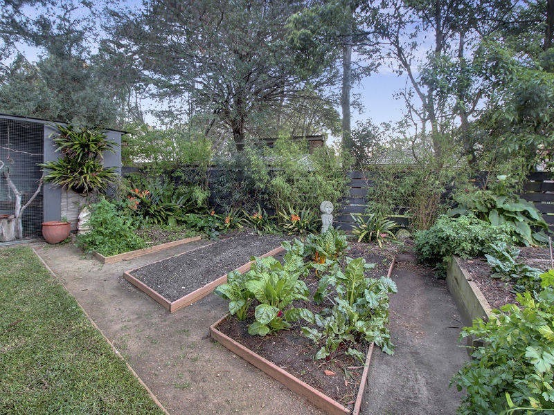 19 Fenton Avenue, Rosebud VIC 3939