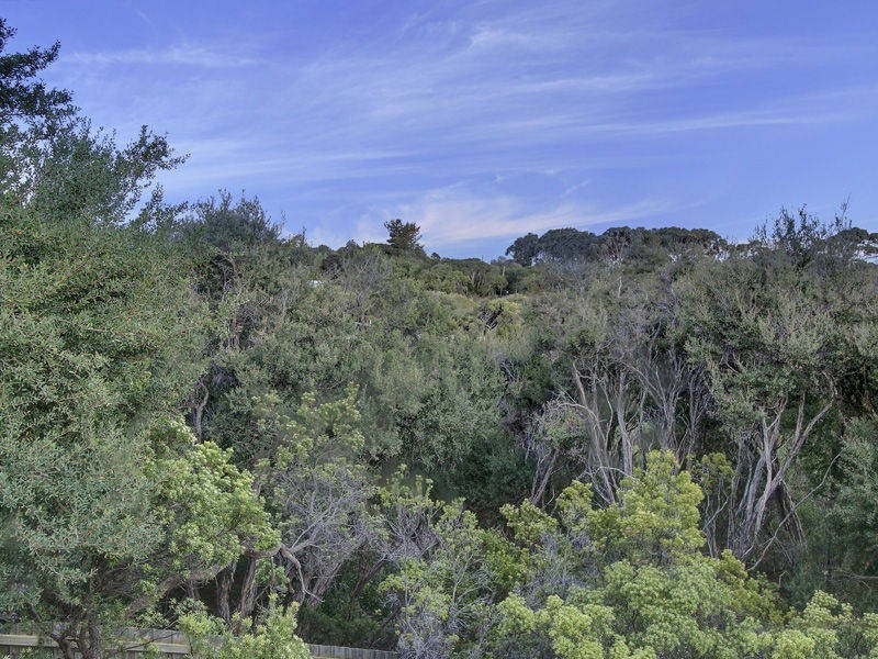 95 Wondaree Street, Rye VIC 3941