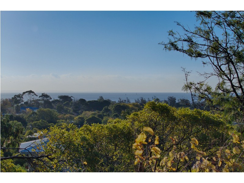 41A The Avenue, Mccrae VIC 3938