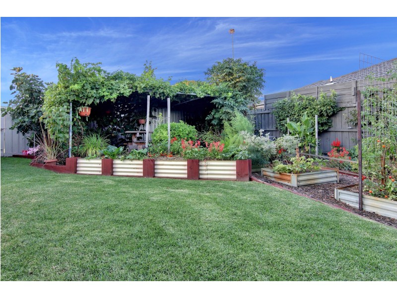 8 Gannett Avenue, Rosebud West VIC 3940