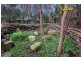 355 Sandy Road, St Andrews Beach VIC 3941
