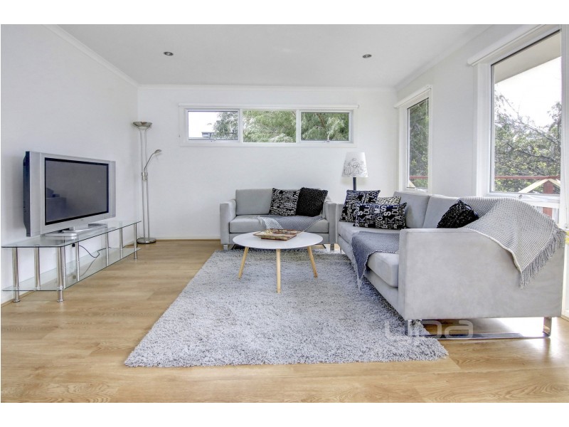 58 Coleus Street, Dromana VIC 3936