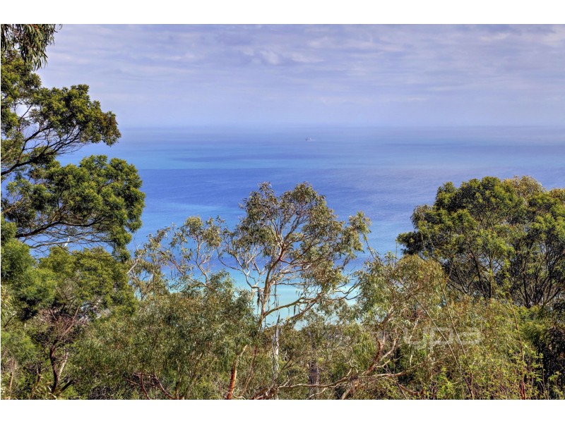 24 Nestle Court, Arthurs Seat VIC 3936