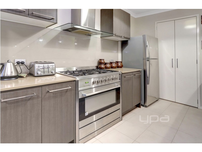 6 Gladiolus Circuit, Cranbourne North VIC 3977