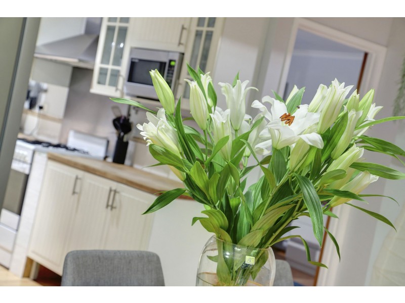 18 Panorama Drive, Tootgarook VIC 3941