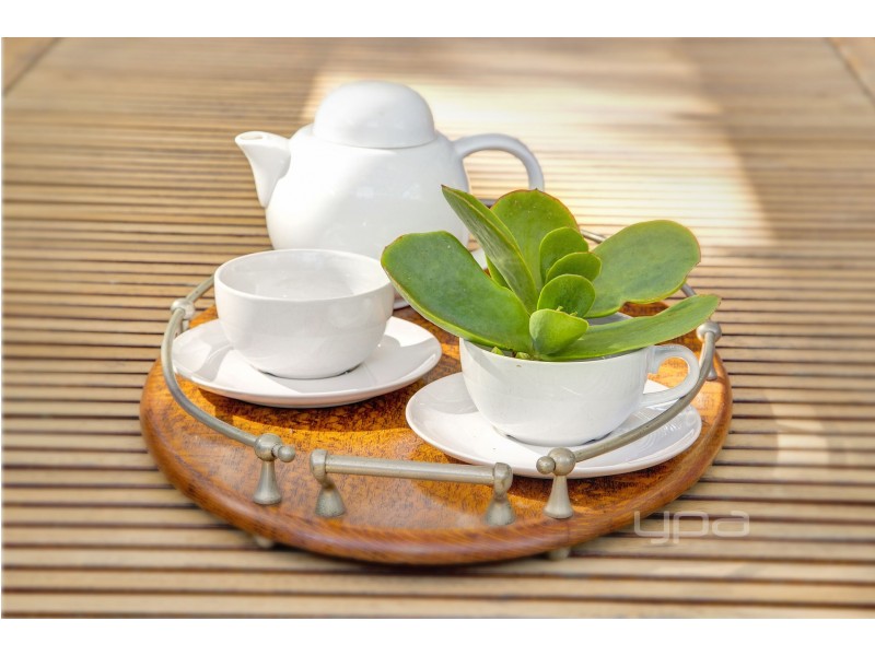 3 Lloyd Street, Rye VIC 3941