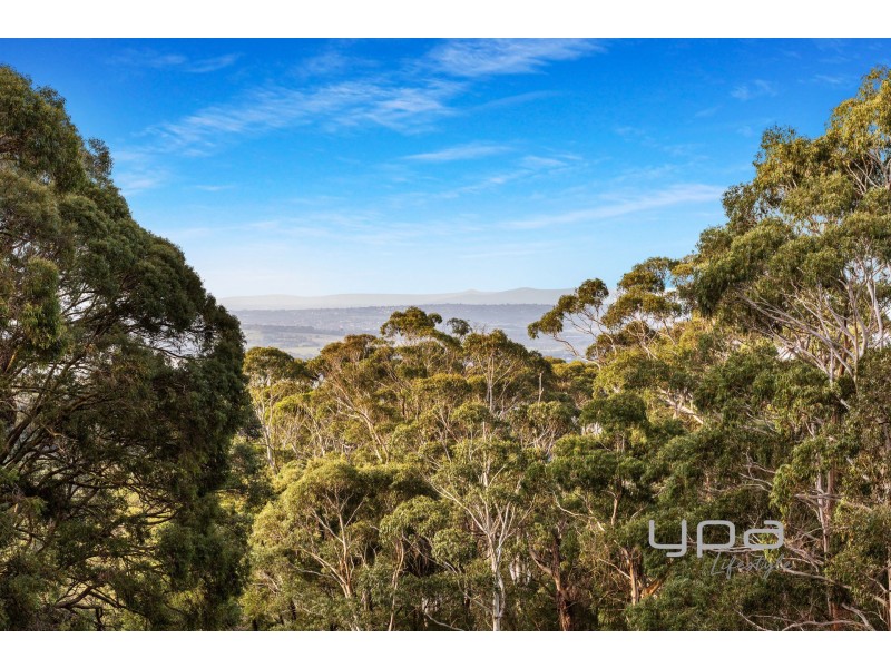 336 Arthurs Seat Road, Red Hill VIC 3937