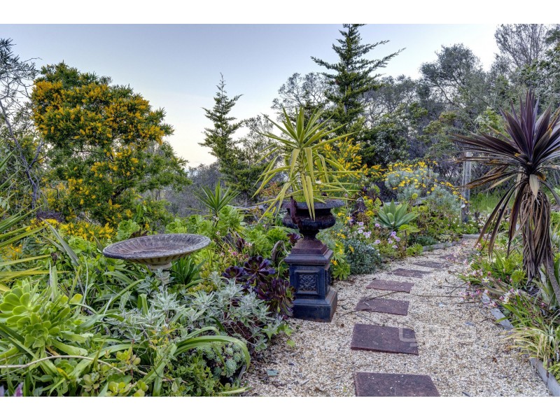 62 Naulilus Street, Rye VIC 3941