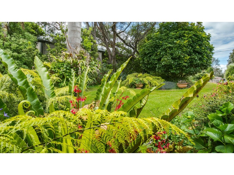 18  Hogan Drive, Rye VIC 3941