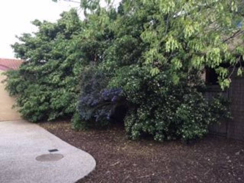 32  Village Avenue, Taylors Lakes VIC 3038