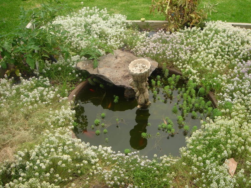 10 Prince Andrew, Lalor VIC 3075