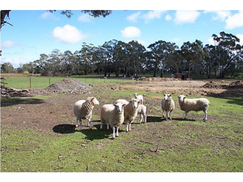 208 Batters Lane, Kyneton VIC 3444