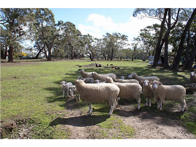 208 Batters Lane, Kyneton VIC 3444