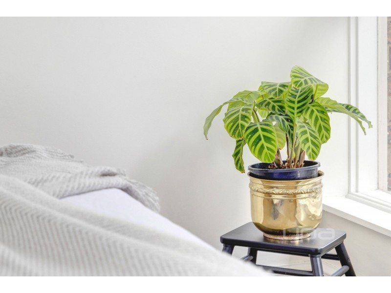 3/7 Warrigal Road, Hughesdale VIC 3166