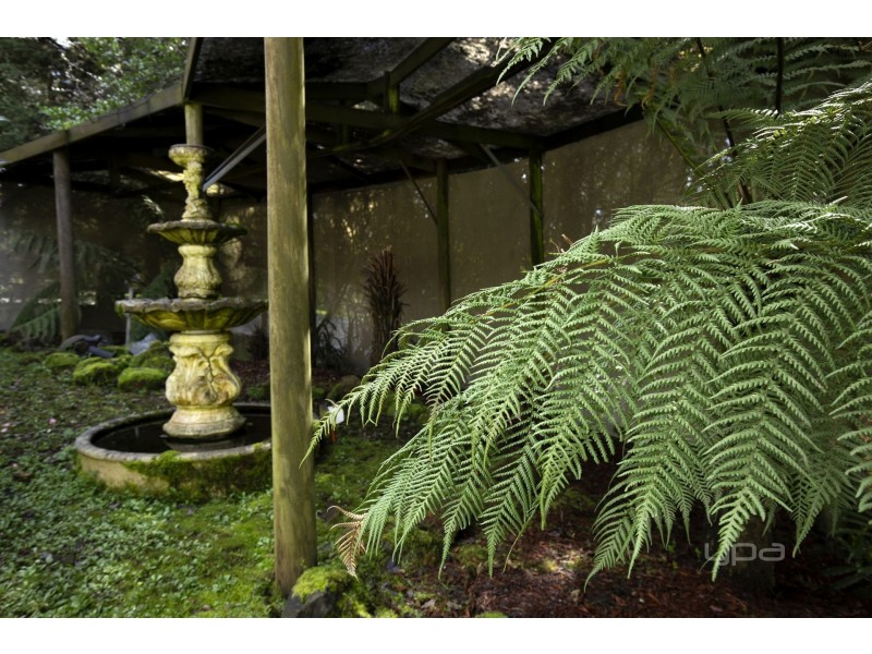 38 Devon Avenue, Cockatoo VIC 3781