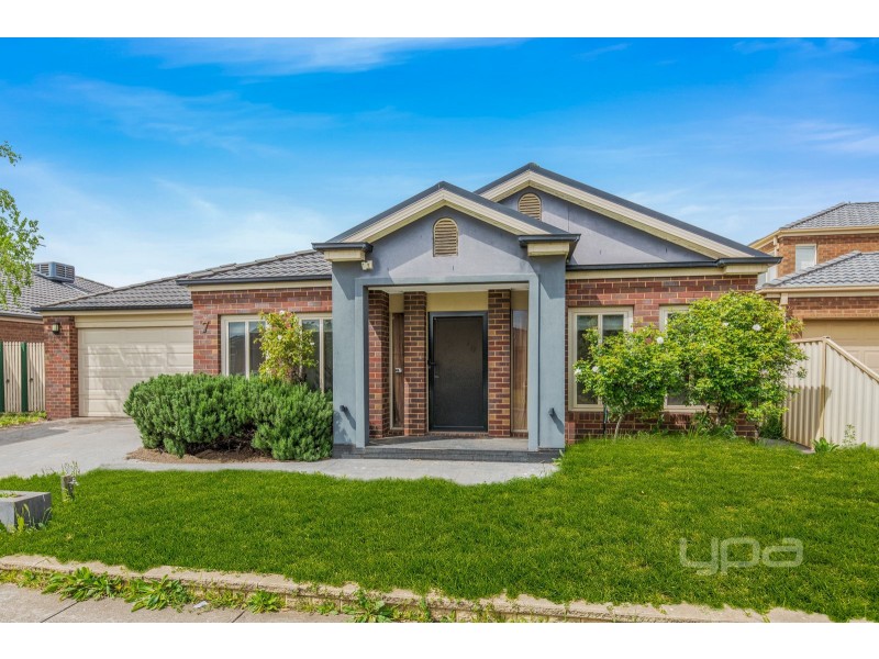 7 Loxton Street, Tarneit VIC 3029