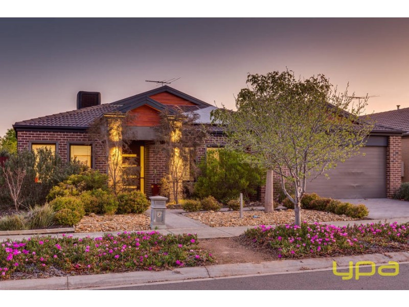 19 Swordgrass Avenue, Tarneit VIC 3029